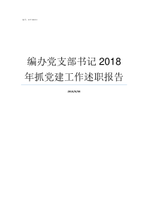 编办党支部书记2018年抓党建工作述职报告编办怎么样