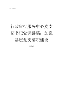 行政审批服务中心党支部书记党课讲稿加强基层党支部织建设行政审批与政务服务局