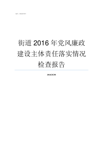 街道2016年党风廉政建设主体责任落实情况检查报告