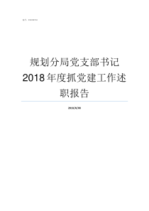 规划分局党支部书记2018年度抓党建工作述职报告市规划局