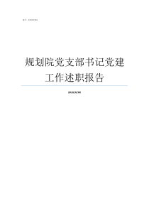 规划院党支部书记党建工作述职报告党支部书记述党建