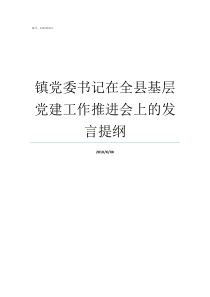 镇党委书记在全县基层党建工作推进会上的发言提纲县局长和镇党委书记那个大