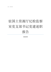 驻国土资源厅纪检监察室党支部书记党建述职报告驻会纪检监察组