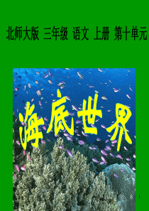 海底世界ppt课件