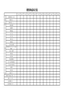 销售和成本计划(12个月)