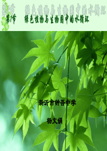 [中学联盟]江苏省新沂市钟吾中学苏科版八年级生物上册《181+绿色植物与生物圈中的水循环》课件