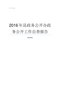 2016年县政务公开办政务公开工作自查报告兰陵县政务公开