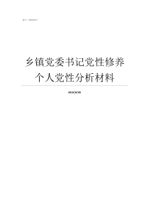 乡镇党委书记党性修养个人党性分析材料乡镇党委书记什么级别