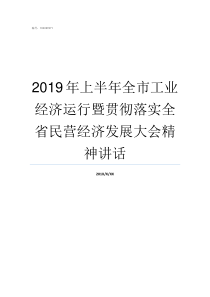 2019年上半年全市工业经济运行暨贯彻落实全省民营经济发展大会精神讲话2019年全市上半年经济运行情