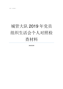 城管大队2019年党员组织生活会个人对照检查材料2019年党的大事