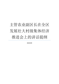 主管农业副区长在全区发展壮大村级集体经济推进会上的讲话提纲集体经济有哪些横山区副区长主管工作