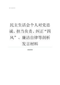 民主生活会个人对党忠诚担当负责纠正四风廉洁自律等剖析发言材料党的组织生活制度