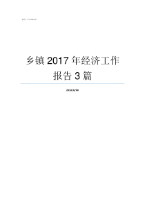 乡镇2017年经济工作报告3篇