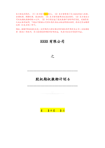 股权期权激励计划6