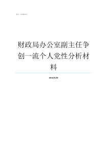 财政局办公室副主任争创一流个人党性分析材料如何当办公室副主任