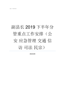 副县长2019下半年分管重点工作安排公安nbsp应急管理nbsp交通nbsp信访nbsp司法nbsp