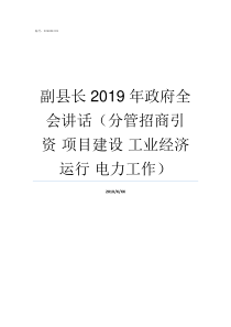 副县长2019年政府全会讲话分管招商引资nbsp项目建设nbsp工业经济运行nbsp电力工作2019