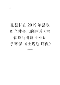 副县长在2019年县政府全体会上的讲话主管招商引资nbsp企业运行nbsp环保nbsp国土规划nbs