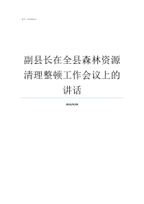 副县长在全县森林资源清理整顿工作会议上的讲话副县长有几个