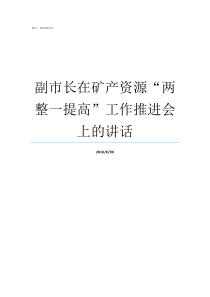 副市长在矿产资源两整一提高工作推进会上的讲话