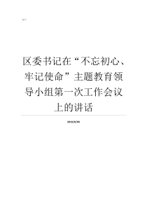 区委书记在不忘初心牢记使命主题教育领导小组第一次工作会议上的讲话不忘初心方得始终