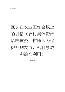 区长在农业工作会议上的讲话农村集体资产清产核资耕地地力保护补贴发放秸秆禁烧和综合利用全国农业工作会议