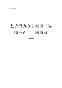 县农开办在乡村振兴战略座谈会上的发言