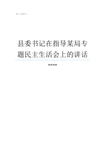 县委书记在指导某局专题民主生活会上的讲话县委书记去当市局局长