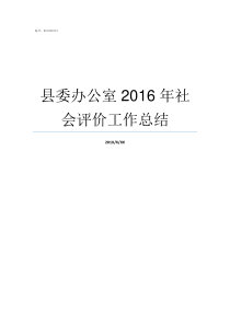 县委办公室2016年社会评价工作总结