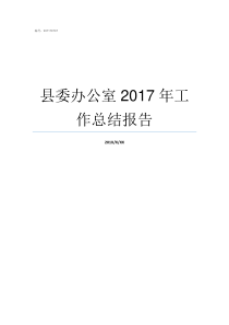 县委办公室2017年工作总结报告2017日本办公室