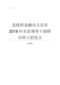 县政府金融办主任在2016年全县领导干部研讨班上的发言