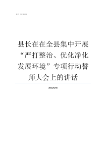 县长在在全县集中开展严打整治优化净化发展环境专项行动誓师大会上的讲话澄城县县长