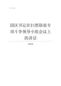 园区书记在扫黑除恶专项斗争领导小组会议上的讲话苏州扫黑