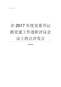 在2017年度党委书记抓党建工作述职评议会议上的点评发言