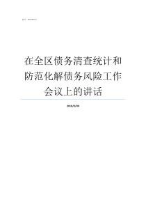 在全区债务清查统计和防范化解债务风险工作会议上的讲话债务清查说明