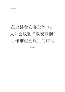 在全县食安委全体扩大会议暨双安双创工作推进会议上的讲话一个食一个委