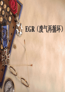 EGR-废气再循环