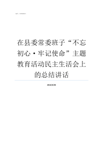 在县委常委班子不忘初心牢记使命主题教育活动民主生活会上的总结讲话