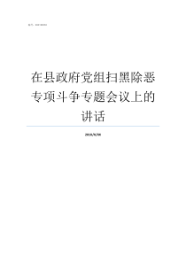 在县政府党组扫黑除恶专项斗争专题会议上的讲话召开县政府党组会