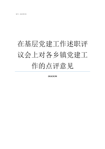 在基层党建工作述职评议会上对各乡镇党建工作的点评意见抓基层党建工作述职报告