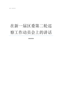 在新一届区委第二轮巡察工作动员会上的讲话