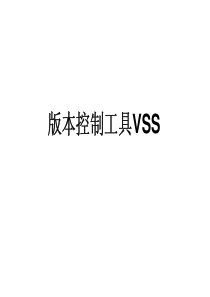 VSS6.0的使用说明