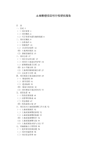 vss土地整理项目可行性研究报告