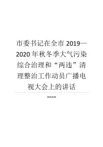 市委书记在全市20192020年秋冬季大气污染综合治理和两违清理整治工作动员广播电视大会上的讲话大气