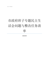 市政府班子专题民主生活会问题与整改任务清单巡视整改对班子意见