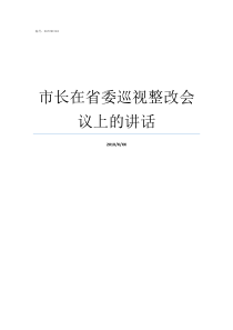 市长在省委巡视整改会议上的讲话对省委巡视整改的认识