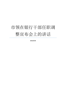 市领在银行干部任职调整宣布会上的讲话在干部宣布会上的讲话在干部宣布会上的讲话