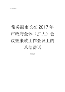 常务副市长在2017年市政府全体扩大会议暨廉政工作会议上的总结讲话常务副市长和副书记