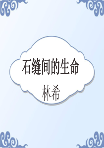 《石缝间的生命》PPT