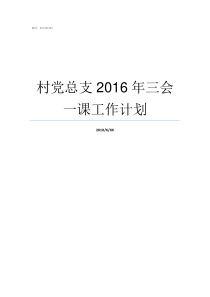 村党总支2016年三会一课工作计划2019年村党总支会议记录